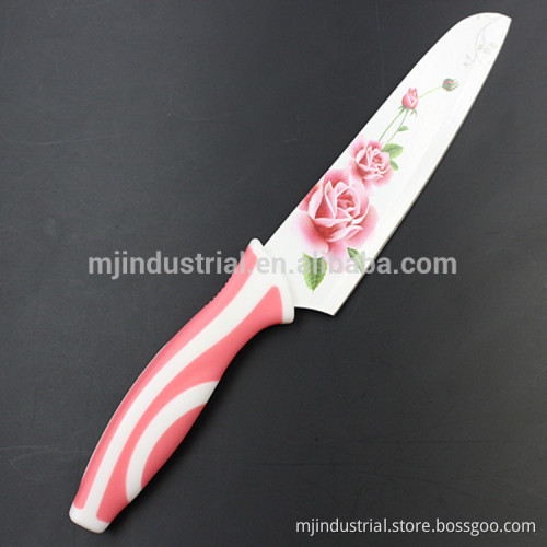 Non-stick color coating flower painting stainless steel kitchen knife